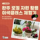 완주로컬 잡센터 | 완주 동창햇살창조센터, 컬러풀컬처스블루완주 체험 후기