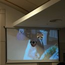 한전아트센터 | 한전아트센터 웨딩 추천 후기 feat, 다다웨딩(폴라리스웨딩)