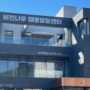 나무비전
