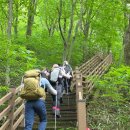 [공지] 진안의 명산 천상데미봉(1,100m)와 선각산(해발 1,142m) 등정 후기