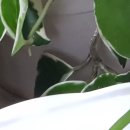 의정부 본 정형외과의원 이미지