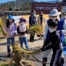 창평초교 유치원 이미지