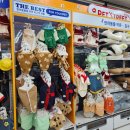 시청로L | 다이소 고양이 겨울옷 추천｜고양이 떡볶이 옷 입히기 영상 후기