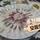 정자횟집 네이버블로그