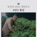 금산고려홍삼 주식회사 | 청정인삼 6년근 고려홍삼고스틱 금산의 기운을 담은 역대급 가성비 홍삼의 비밀