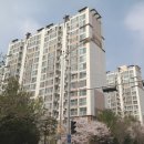 백현마을 모아미래도2단지 네이버블로그