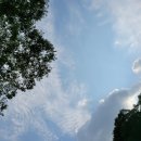 큰돌민박 이미지