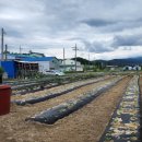 농협승강장 이미지