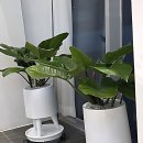 S-OIL 산뜻주유소 | 부산 아이와 가볼만한곳 신상카페 찾다가 찐으로 정착함!