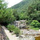 삼척 활기 치유의 숲 이미지