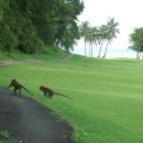 푸에르토 아줄 이미지