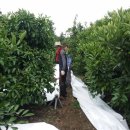 우용농장 이미지