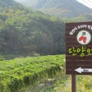 오미 농산물 이미지