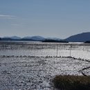 거차뻘배체험마을 이미지