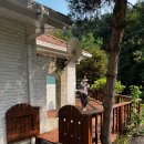 타샤의 숲속 이미지