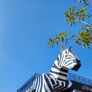 하늘닿은목장 | 주말 충북 증평 아이와 가볼만한 곳 블랙스톤 벨포레 목장 이용후기