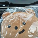 11545-03-26-28 | [26/03/20~26 :: 27W]👼🏻베이비 루나 일기 (8) (부제 : 봄이 온다 루나야🌸)