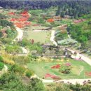 안면도자연휴양림 이미지