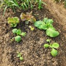 진척농장 이미지