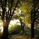 의평마을 이미지