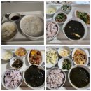 주안여인숙 | [W여성병원] 한복이의 38주 제왕절개 준비부터 후기까지_주안 W여성병원