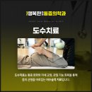 도수세천 이미지
