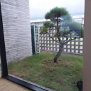 경주신계풀빌라펜션 이미지