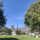 파란나라 이미지