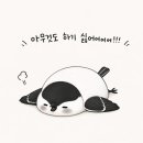 뚱닭뚱닭