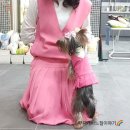 옷만들기 초중급 이미지