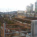 오송4교 이미지