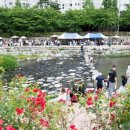 원남시장 이미지