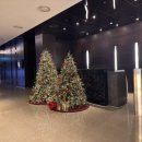 종로프라자약국 | 호텔 추천 롯데시티호텔 마포 디럭스 패밀리 트윈 후기 공덕역 초역세권 주말 가족여행 내돈내산 후기