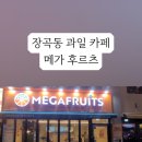 메가후르츠장곡점