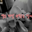 브라이드클럽