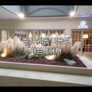 송민 헤어 | 일산 장항동 미용실 웨스턴돔 세븐스헤어 곱슬머리 볼륨매직 송민 디자이너 쌤 후기