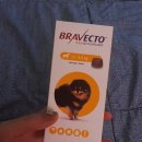 대구가축병원 이미지