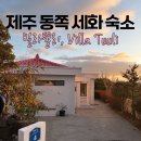 GS25 서둔세화로 | [제주 동쪽 숙소] 빌라뚤리 | Villa Tuuli (2박 후기) 평대 세화 감성 숙소