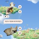 핑돼 | 행복이 데굴데굴 굴러옵니다