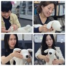 안젤라펫 | 펫마사지 케어 전문가 레벨1 수업후기