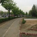 법동천 티스토리