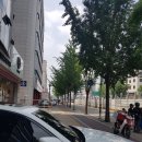 (주)구디팡 네이버블로그