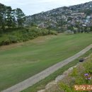 파인골프클럽 이미지