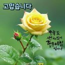 ♤홀로 가는 내 삶의 길 ( 52회)♧ 이미지