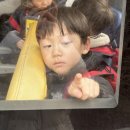 어린이 바이올린 교실 2 | 2026년 3-4월. 밀린 육아 일상 (🏫 초등학교 입학, 충주캠핑, 횡성여행)