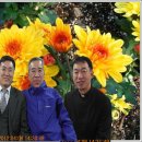 연희동성당 부활절 사진을 Photosh으로 장미공원과 대둔산. 금강산으로... 이미지