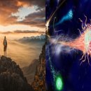 활기찬정형외과의원 | 부산시 해운대구 정형외과 잘하는 곳 전문 피부과 추천 가격 비용