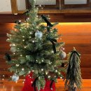 나의 샌드위치 이미지