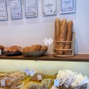 UR(김천시)-[시청로]-하-5 | 김천 베이커리 맛집 '순수베이커리' 내돈내산 찐 후기