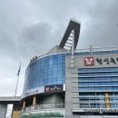 횡성 힐링스토리 캠핑장 계곡 소리 들리는 울창한 소나무 숲 캠핑장 횡성 하나로마트 한우 구매후기